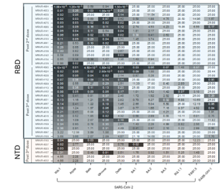 Text Box: Fig.1 Thirty-nine neutralizing mAbs, isolated post 3rd SpFN dose showed neutralization breadth against SARS-CoV-2 variants and some to SARS-CoV-1